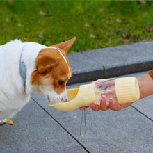 2 In 1 Water Bottle